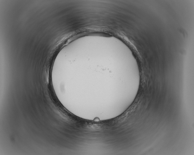 X0000113120062200909251121