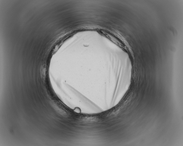 X0000113120063200909251121
