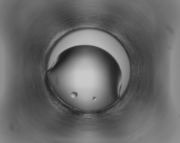 X0000113120064200909251121