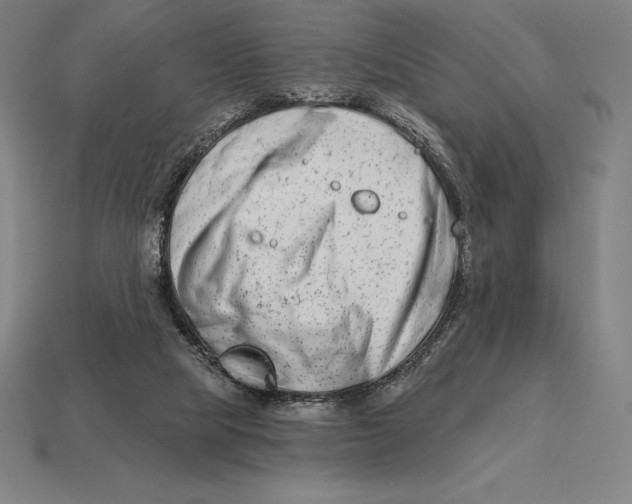 X0000113120065200909251121