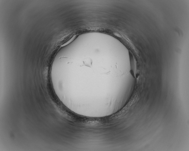 X0000113120066200909251121