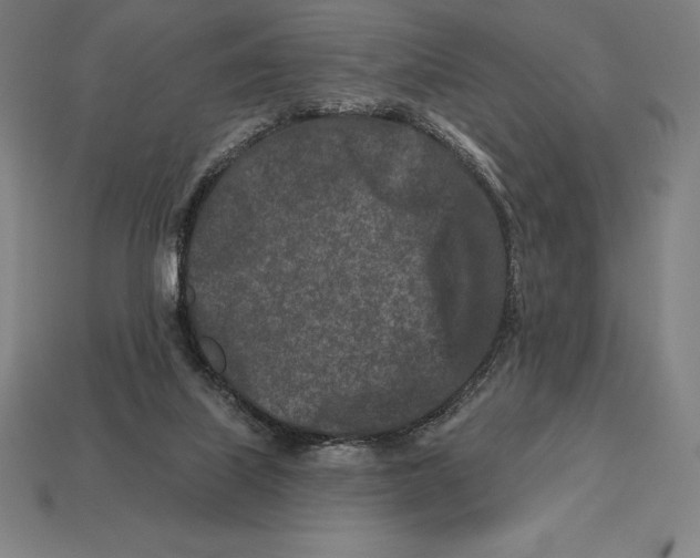 X0000113120067200909251121