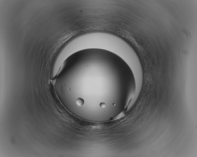 X0000113120068200909251121