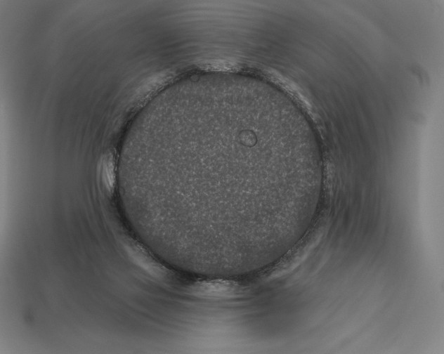 X0000113120069200909251121