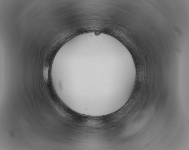 X0000113120070200909251121
