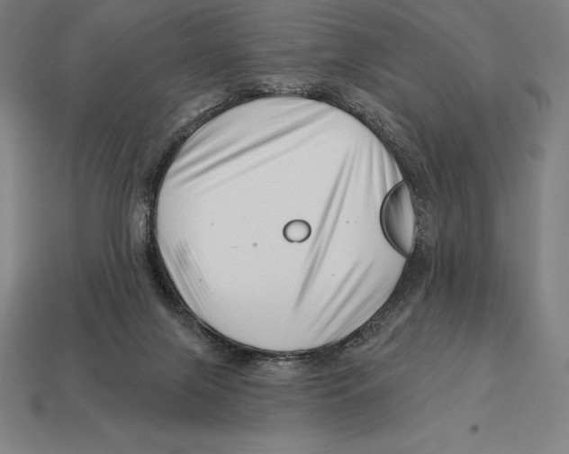 X0000113120071200909251121
