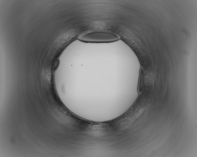 X0000113120072200909251121
