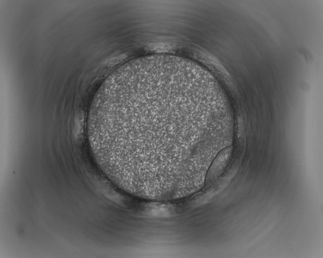 X0000113120073200909251121