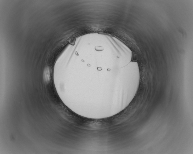 X0000113120075200909251121