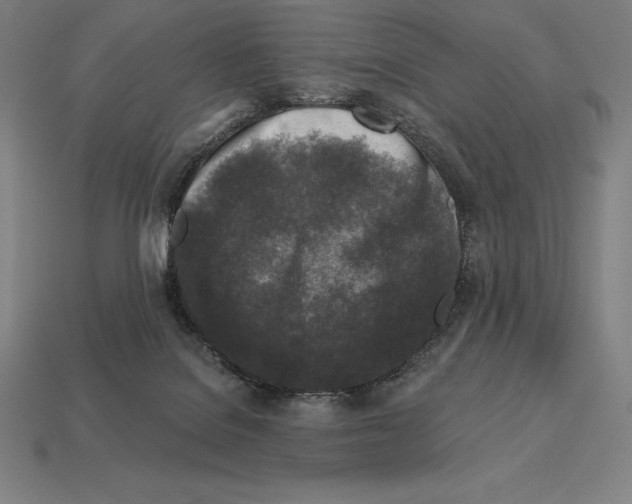 X0000113120076200909251121