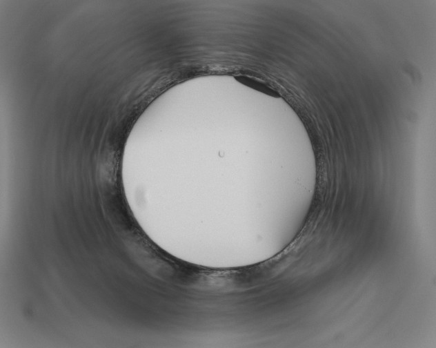 X0000113120078200909251121