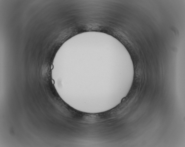 X0000113120079200909251121