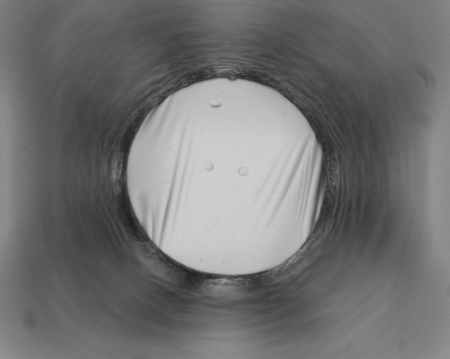 X0000113120082200909251121