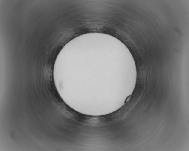 X0000113120083200909251121
