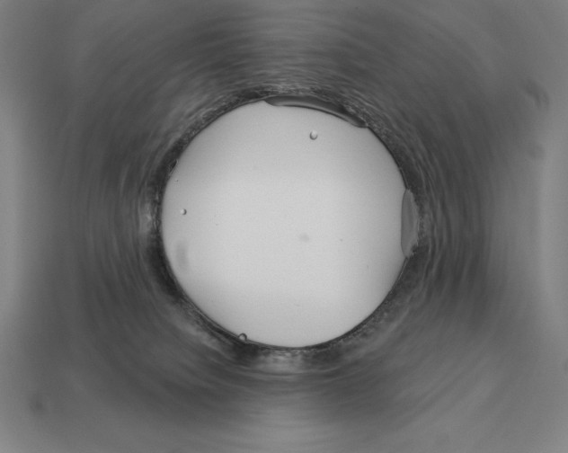 X0000113120084200909251121