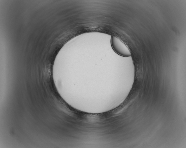 X0000113120085200909251121