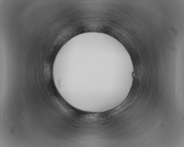 X0000113120086200909251121