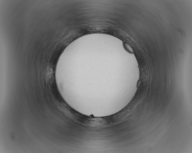 X0000113120087200909251121