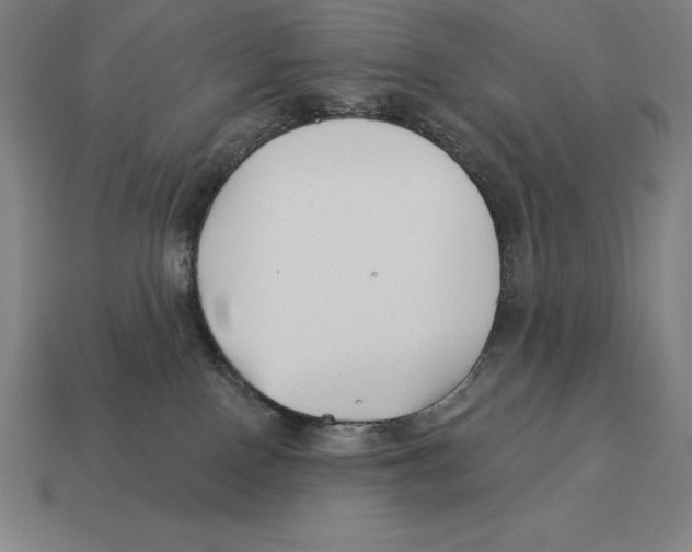 X0000113120090200909251121