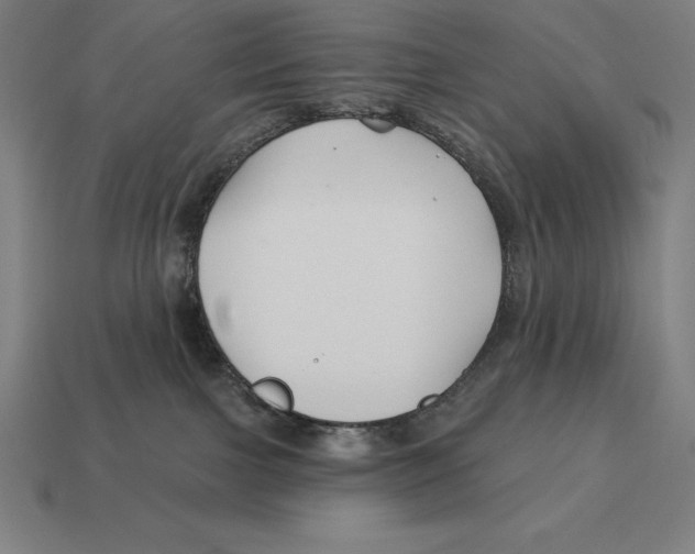 X0000113120091200909251121