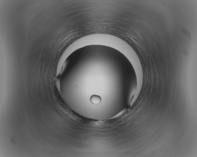 X0000113120092200909251121