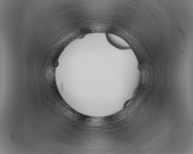 X0000113120093200909251121