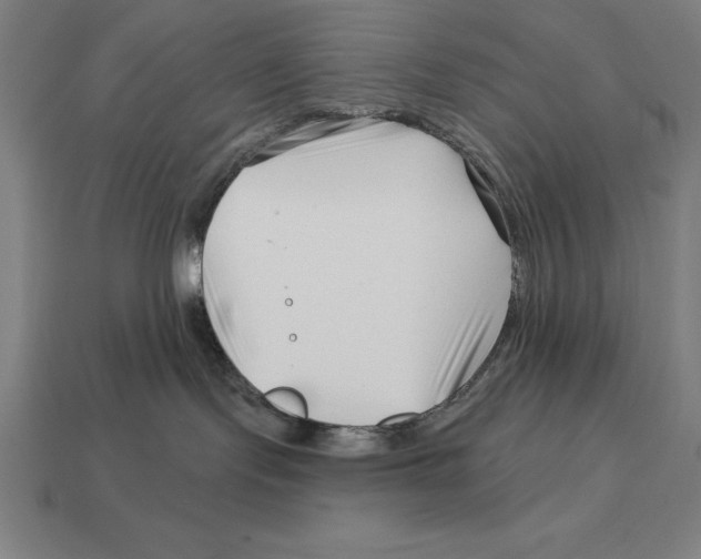 X0000113120095200909251121