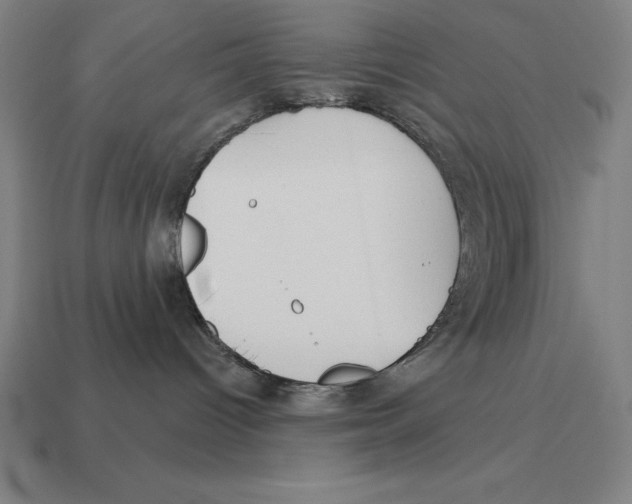 X0000113120096200909251122