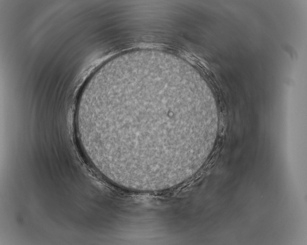 X0000113120098200909251121