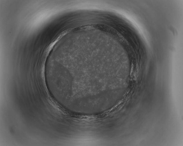 X0000113120099200909251121