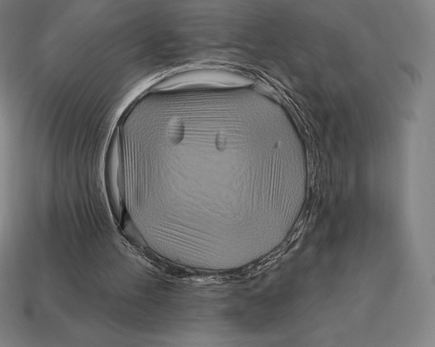 X0000113120100200909251121