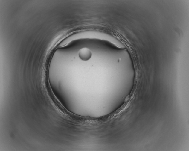 X0000113120101200909251121