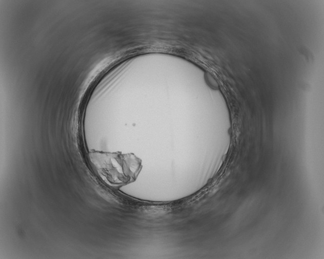 X0000113120102200909251121