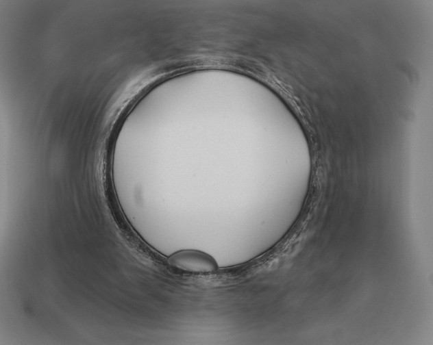 X0000113120103200909251121