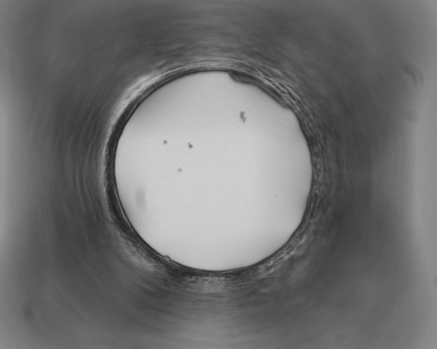 X0000113120104200909251121