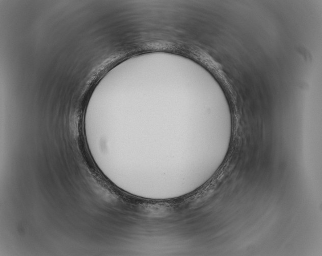 X0000113120106200909251121