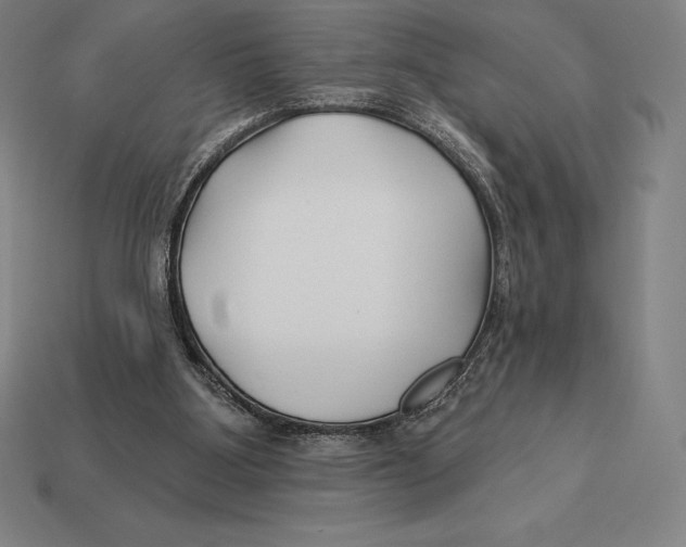 X0000113120107200909251121