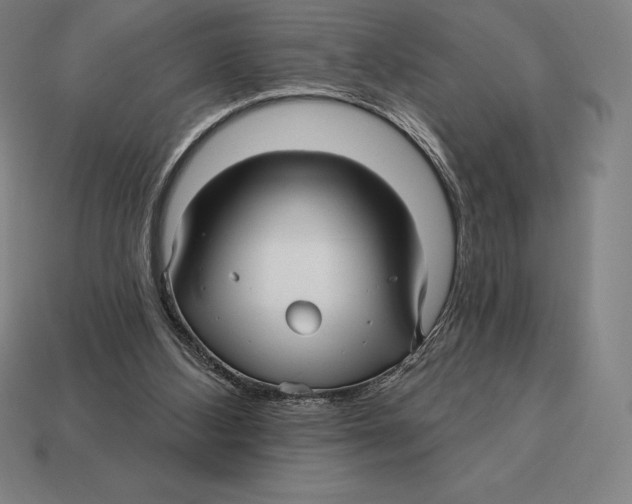 X0000113120108200909251121