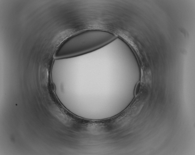 X0000113120109200909251121
