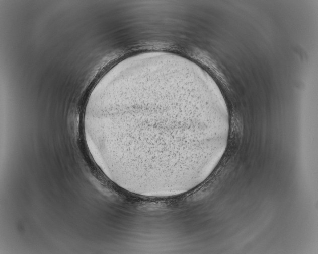 X0000113120110200909251121