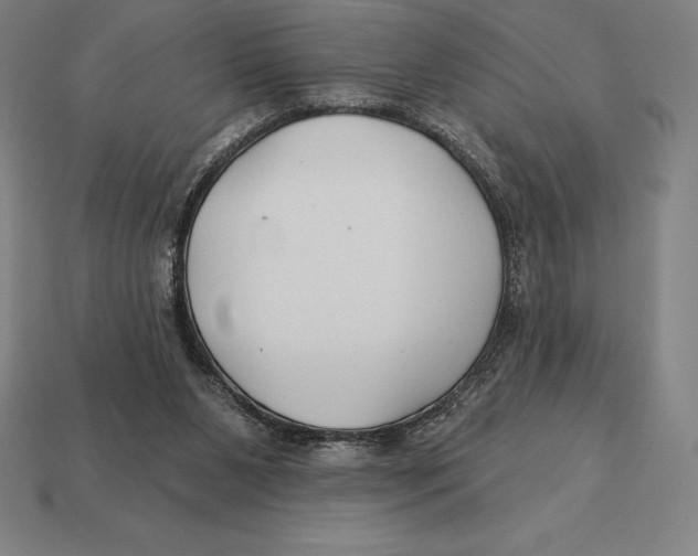 X0000113120111200909251121