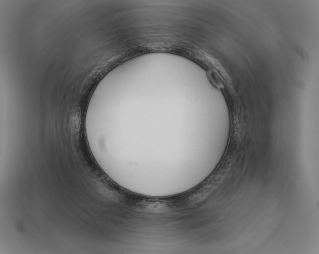 X0000113120113200909251121