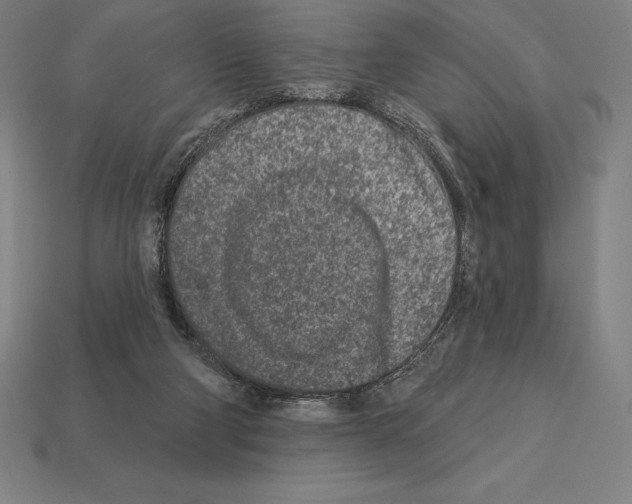 X0000113120114200909251121