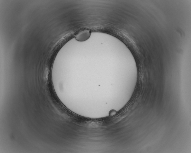 X0000113120115200909251121