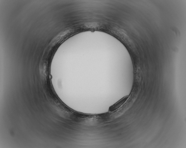 X0000113120116200909251121