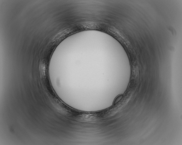 X0000113120117200909251121