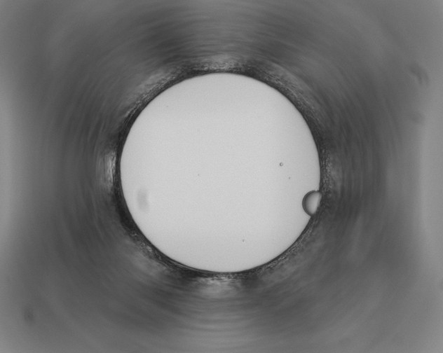 X0000113120118200909251121