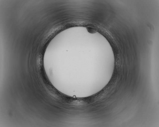 X0000113120119200909251121