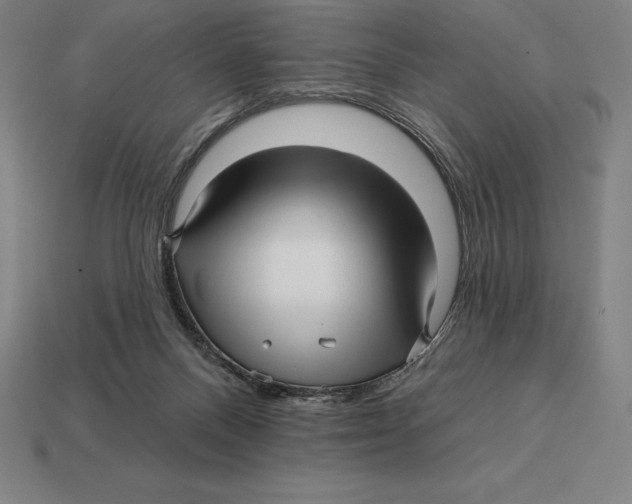 X0000113120120200909251121