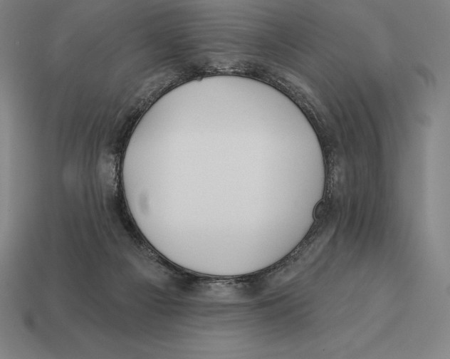 X0000113120121200909251121